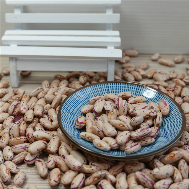New Crop LSKB Long Shape Organic Dried Pinto Light Speckled Kidney Beans - Image 5