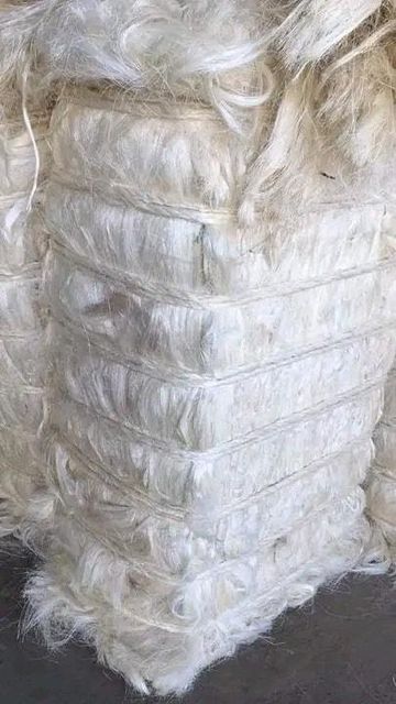 SISAL FIBER GRADE UG From Kenya Ready For Export - Image 1
