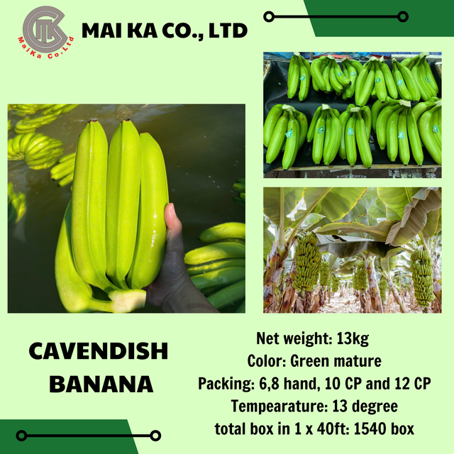 Fresh cavendish Banana - Image 5