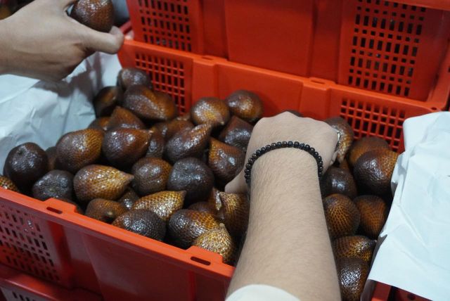 Salak Pondoh / Fresh Salak Export Grade 70 Gram - 110 Gram Texture Crunchy Type Salak Pondoh Grade Export / 1 / Premium Weight (kg) 70G - 110G - Image 3