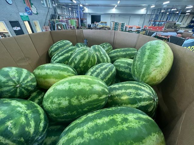 Premium Extra Sweet Fresh Seeded/seedless Watermelons - Image 4