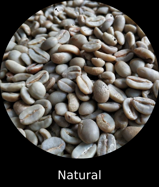 Sumatra Gayo Arabica Green Coffee Beans - Natural Process - Image 3