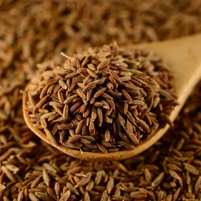 Cumin Seeds Sourced For Fresh Harvest Integrity Strong Essential Oil Content And Professional Bulk Distribution - Image 4