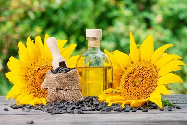 Sunflower Refined Oil Factory Supply Edible Sunflower Oil Wholesale Private Label Sunflower Seed Oil 1 2 3 4 To 5 Liters - Image 3