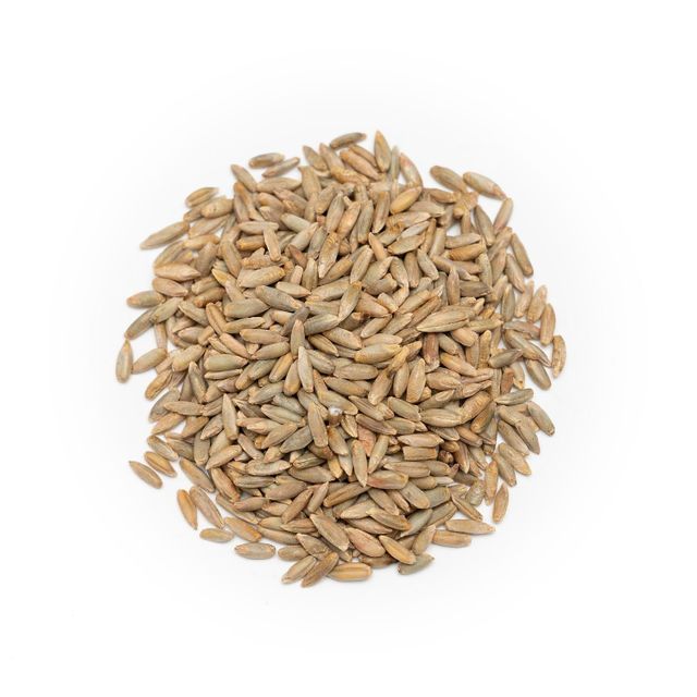 Rye grain wholesale bulk available at low competitive rates - Image 5