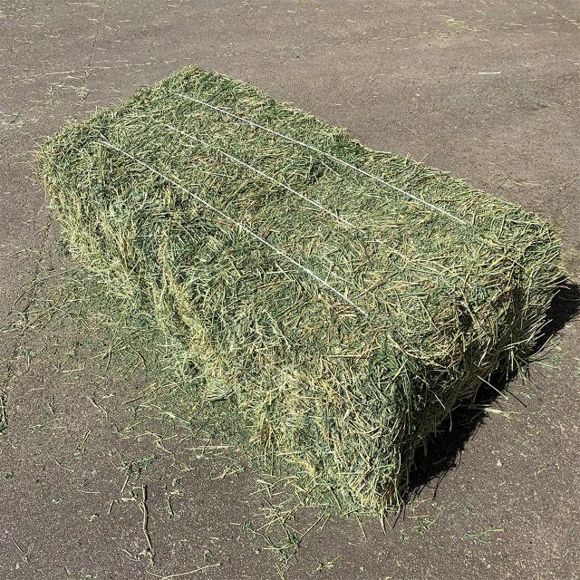 Timothy Hay 100% Fresh And Natural Timothy Hay For Rabbits Providing Essential Fiber And Supporting Healthy Digestion - Image 4
