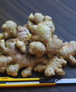 Fresh Ginger - Image 1