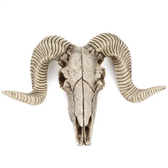 Antique Goat Head Skull Wall Hanging Sheep Head Skeleton Resin Crafts - Image 1
