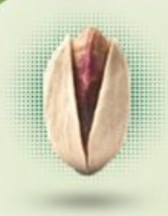 Akbari Pistachio in Shell Place of Origin Iran Type Akbari in shell - Image 2