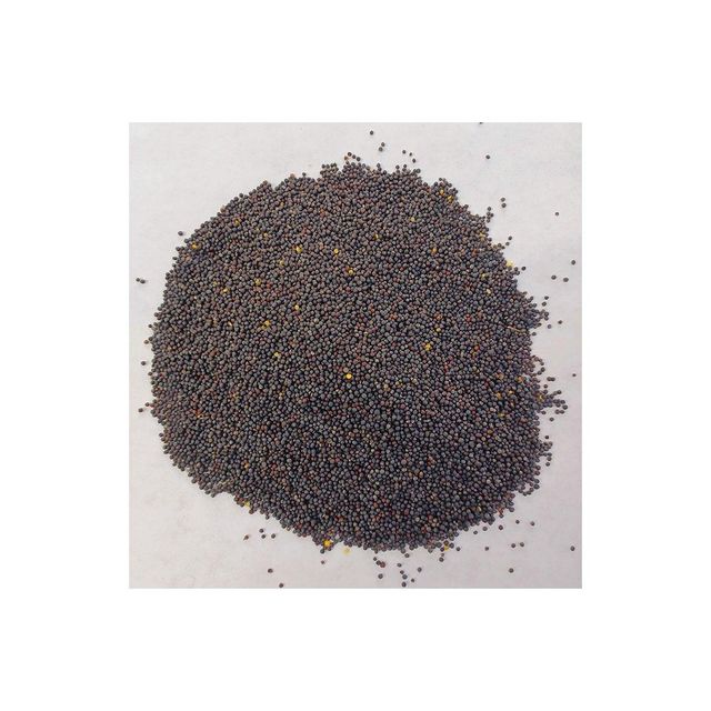 Cheap price rapeseed available for wholesale supply to global buyers - Image 4