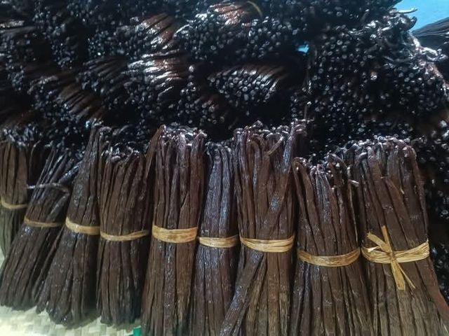Vanilla Planifolia – product photo 2, product detail gallery