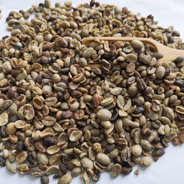 Chinese coffee beans broken with black beans arabica typ new crop - Image 1