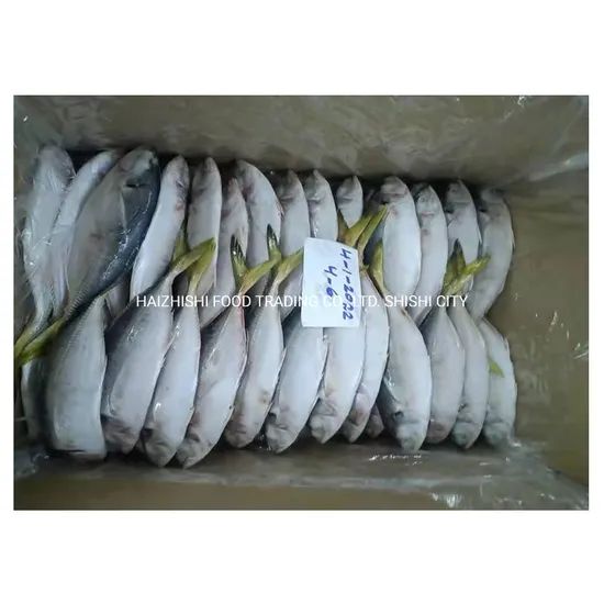 New Stock Oman Origin Frozen Yellow Tail Scad Fish Style Whole Processing BQF Trademark HEALSEA Origin Fujian, China Storage Temperature - Image 3