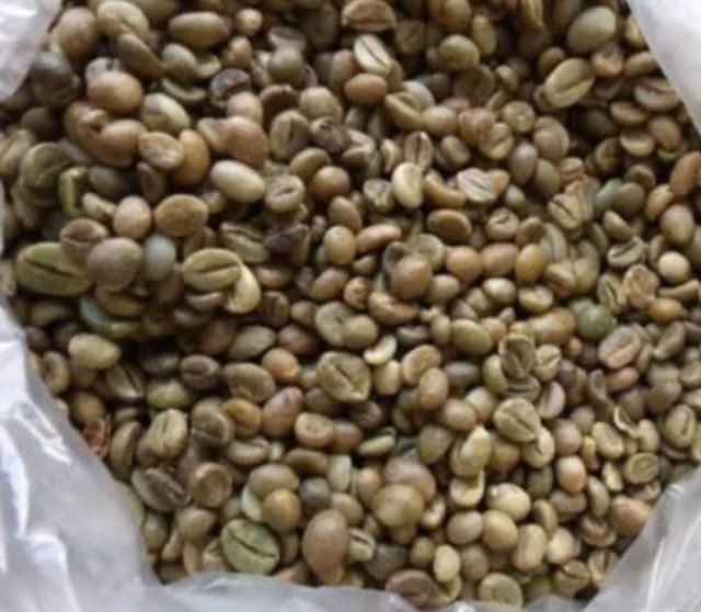 Robusta coffee beans - Image 8