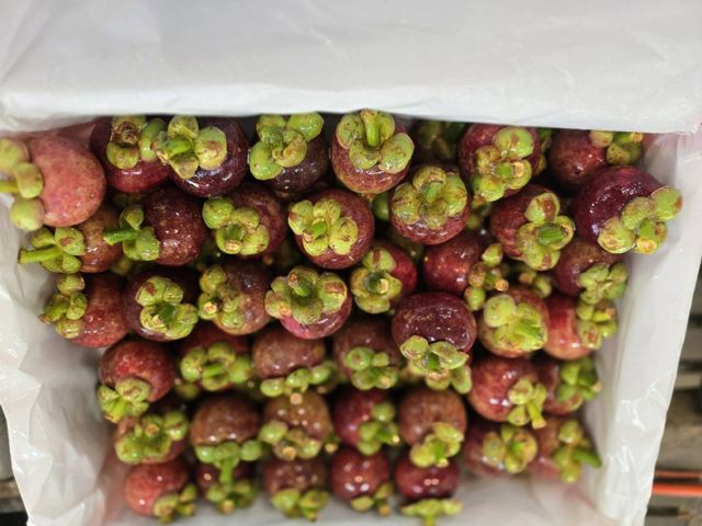 Organic Premium Mangosteen from Thailand (Available various sizes from 60g to 90g>) - Image 4