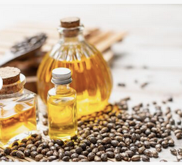 Castor seed and Castor oil.Bulk and wholesale. Seeds Brown Dried Castor Seed. Very cheap and free shipping. - Image 1