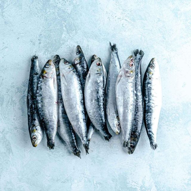 Frozen Sardine Fish Export Ready Selection With Uniform Size And Clean Handling For Diverse Market Demand - Image 4
