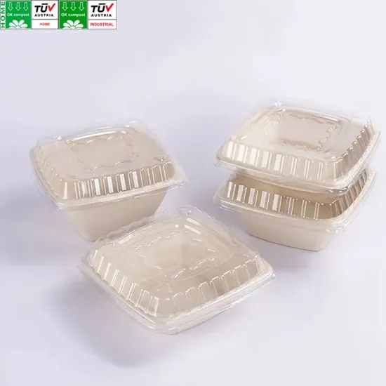 100 Biodegradable Square Rectangle Deep Bowl Salad Rectangular Bagasse Bowls - Image 2