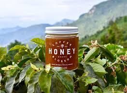 Bee honey with coffee flower in Viet Nam Organic Yes Origin Viet Nam Color Golden Hue Packaging Bottle, Can MGO Content > 200 mg - 400 - Image 2