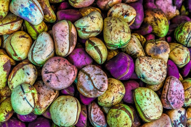 Fresh Kola Nuts Whole Seeds Natural Bitter Taste Rich Caffeine Content Ideal For Traditional Chewing Herbal Drinks And Food Industry Use Buy Now Fast Delivery Premium Quality Wholesale - Image 4