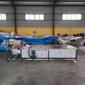 Industrial Vegetable and Fruits Pretreatment Processing Machine Bubble Cleaning Equipment - Image 3