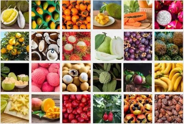 Fresh Fruits & Vegetables — Export from India - Image 2