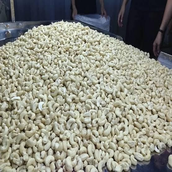 Factory-Dried Kaju Raw Cashew Nut Kernels WW240 WW320 WW450 Pistachio & Pine Nuts for Food - Image 3