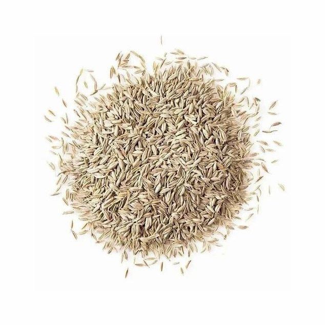 Cumin Seed for sale high-quality spice rich Grade Top Form Seeds Aroma Earthy Packaging Bulk Type Cumin Seed Quality Premium - Image 3