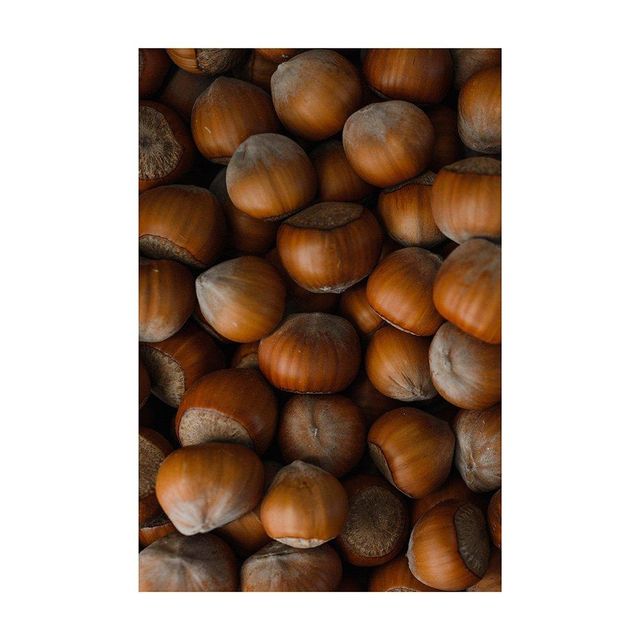 Raw Hazelnut kernel/ Organic Grade Hazelnut kernel /Hazel Nuts for sale - Image 3