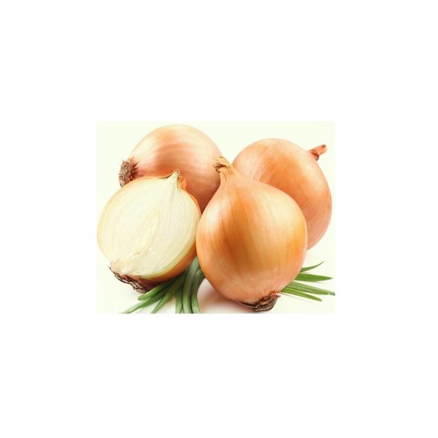 Premium Quality Wholesale White Onion Powder for Food Processing, Seasoning Blends, Sauces, Snacks, Marinades, and Industrial Applications – Pure Dehydrated Onion Powder with Strong Aroma, Fine Texture, Long Shelf Life, Hygienically Processed, Available in Bulk Packaging with Private Label and Worldwide Export Supply Services - Image 3