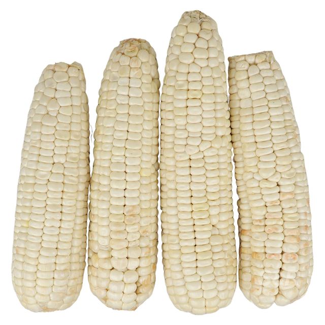 Non GMO White Corn For International Feed Processing With Clean Kernels And Carefully Selected Harvest Quality - Image 4