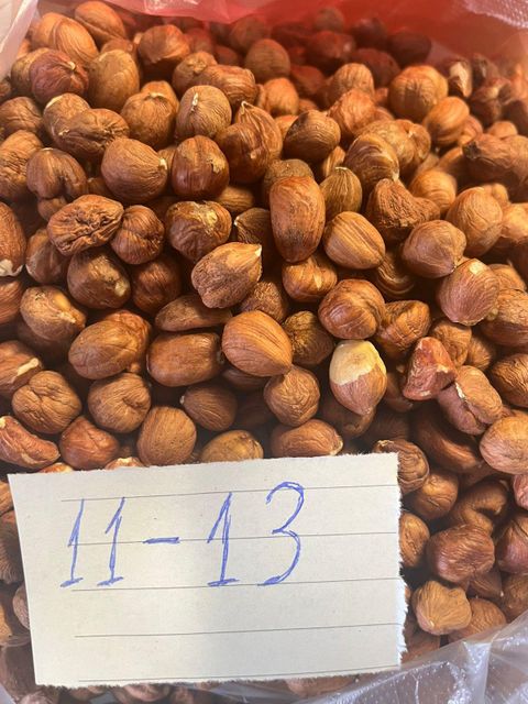 Hazel Nut - Image 1