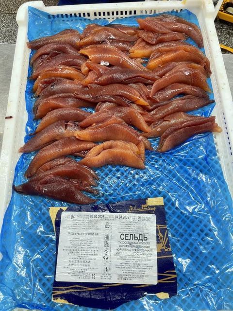 Frozen Herring Fish Nutrient Rich Whole Fish Processed Under Hygienic Conditions For Bulk Seafood Purchases - Image 3