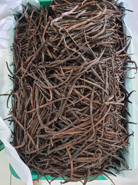 Vanilla beans extract grade - Image 1