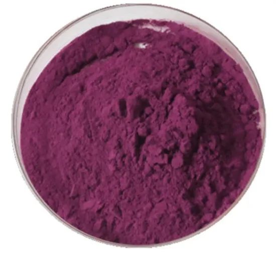 Natural Aronia Chokeberry Fruit Powder Juice Powder - Image 3