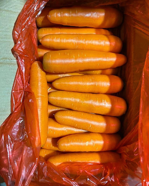 New Harvest Jack Rabbit Premium Fresh Carrots 10kg Bags Naturally Crisp,Naturally Sweet Carrots For Sale - Image 2