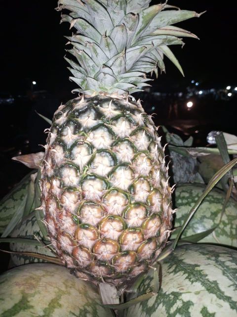 Pineapple - Image 1