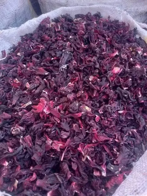 Affordable EXPORT GRADE DRIED HIBISCUS Available for bulk export worldwide - Image 3