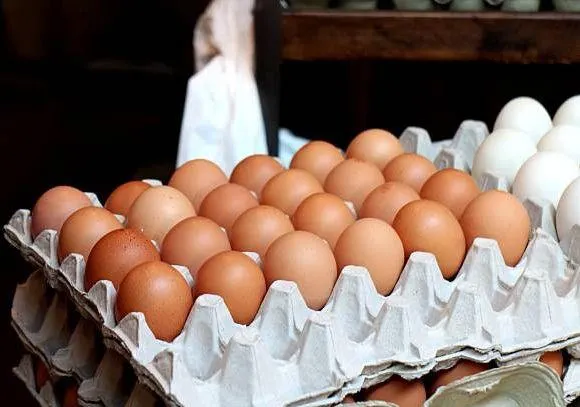 Fresh Frozen & Cooked Chicken Table Eggs with Brown and White Shells From UK - Image 4