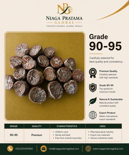 Dried Betel Nut (Areca Nut) Split / Whole Grade 80-85 Export Quality - Premium Indonesia - Image 4