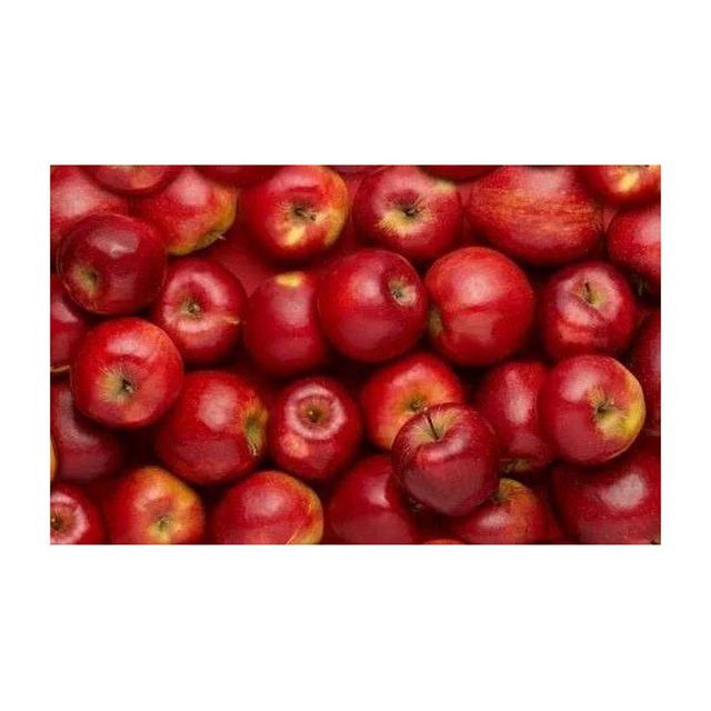Premium Quality Red Apple Fresh red delicious applesprices fresh apple fruit in bulk - Image 4