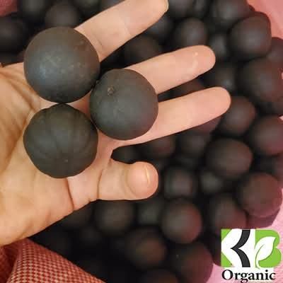 Dried Black Lemon Texture Brittle Place of Origin Egypt Flavor Tangy, Concentrated Citrus Packaging 25kg, Airtight Containers - Image 1