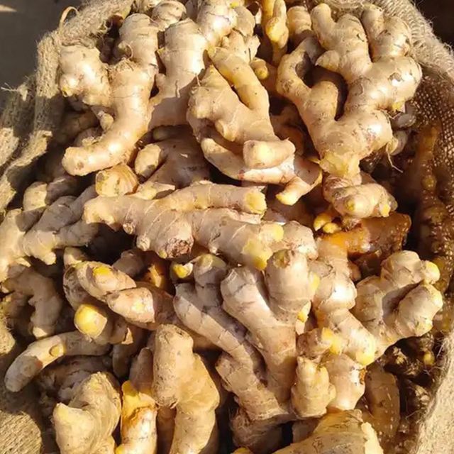 Selected Organic Farm Harvest Includes Fresh Ginger Packed Freshly For Global Importers - Image 2
