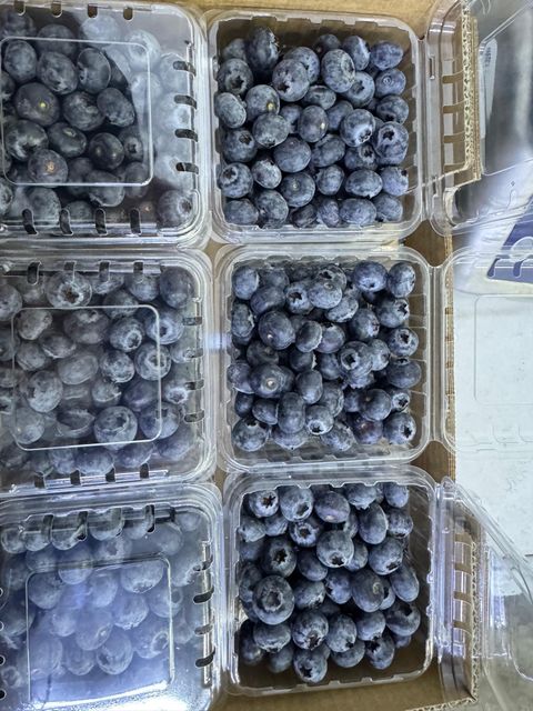 Blueberries Organic No Origin Peru 🇵🇪 Weight (kg) 1.5 Texture Firmness Quality Category 1 Flavor Excellent Flavor Degree of Processing Cold - Image 5