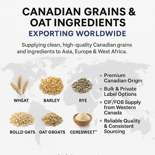Premium Organic Rolled Oats Form Solid Texture Bulk Packaged Sustainability Sustainable Traceability Farm To Shipment Source Canada's Fertile - Image 2