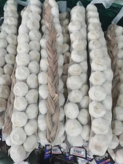 China New Big Size Braid Fresh Pure White Garlic Style Whole Origin China HS Code 070320 Type Pure White Trademark Green - Image 4