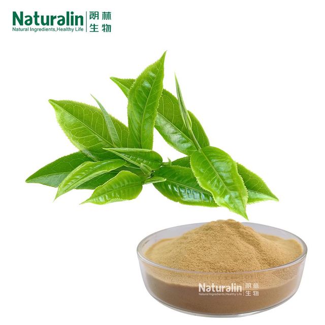 Green Tea Extract - Image 5