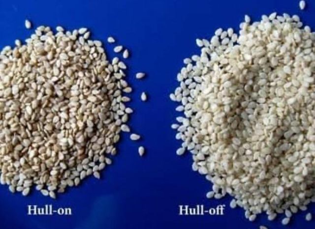 Best Quality 100% Organic White Sesame Seed For more details, whatsap +255787979235 – product photo 1, product detail gallery