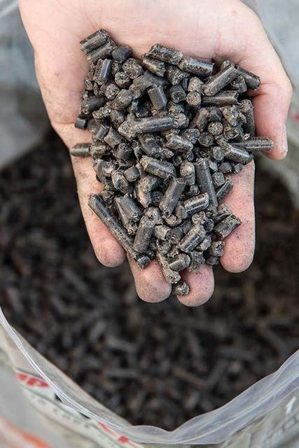 Wood Pellets For Home Heating Industrial Boilers Natural Wood Pellets For Clean And Efficient Combustion - Image 3