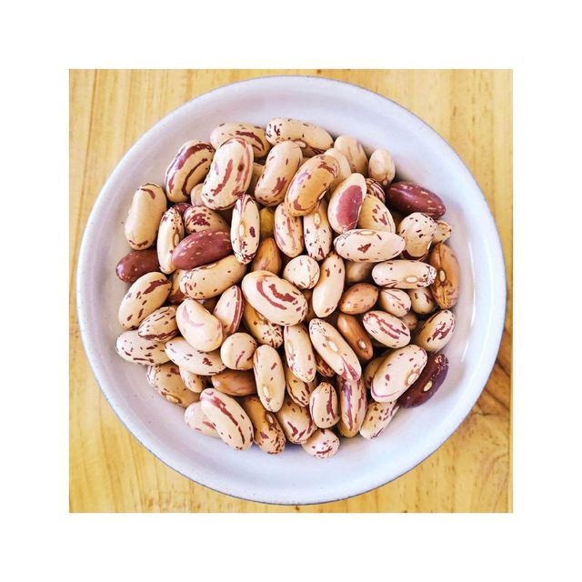Premium grade sugar beans for wholesale food supply and processing - Image 2